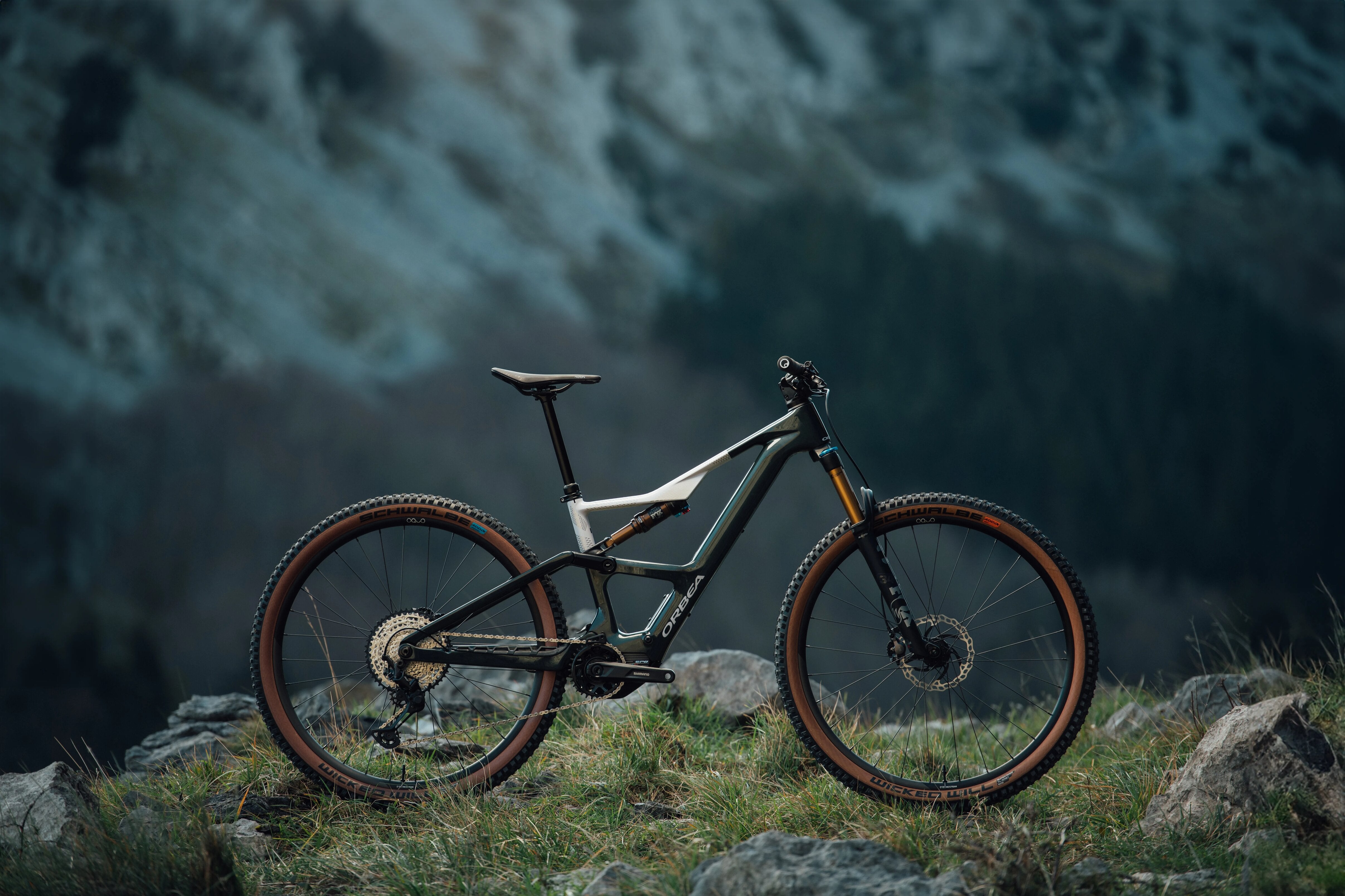 The New Orbea Rise