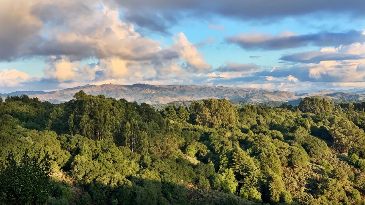 Oakland Shop Road Ride