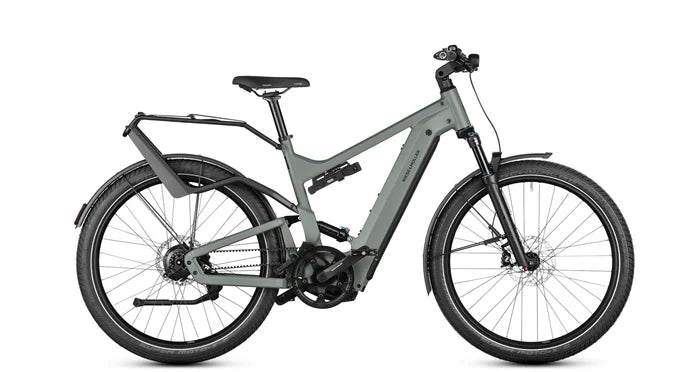 Riese Müller Delite4 GT Vario HS Bosch Press Bike (#100940)