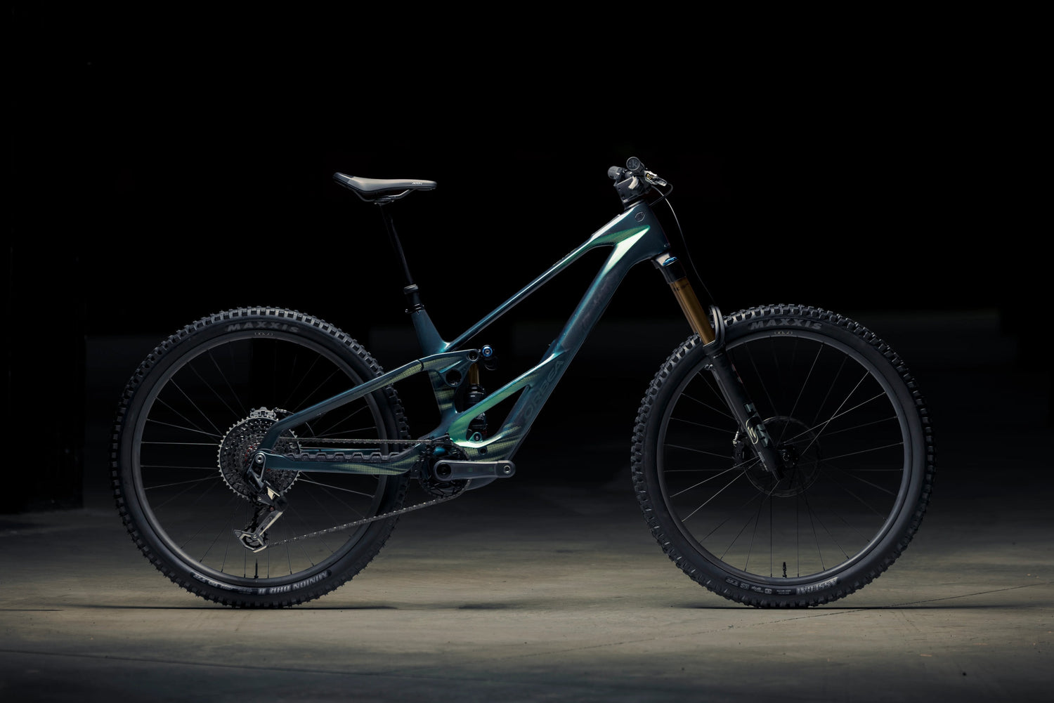 The New Orbea Wild