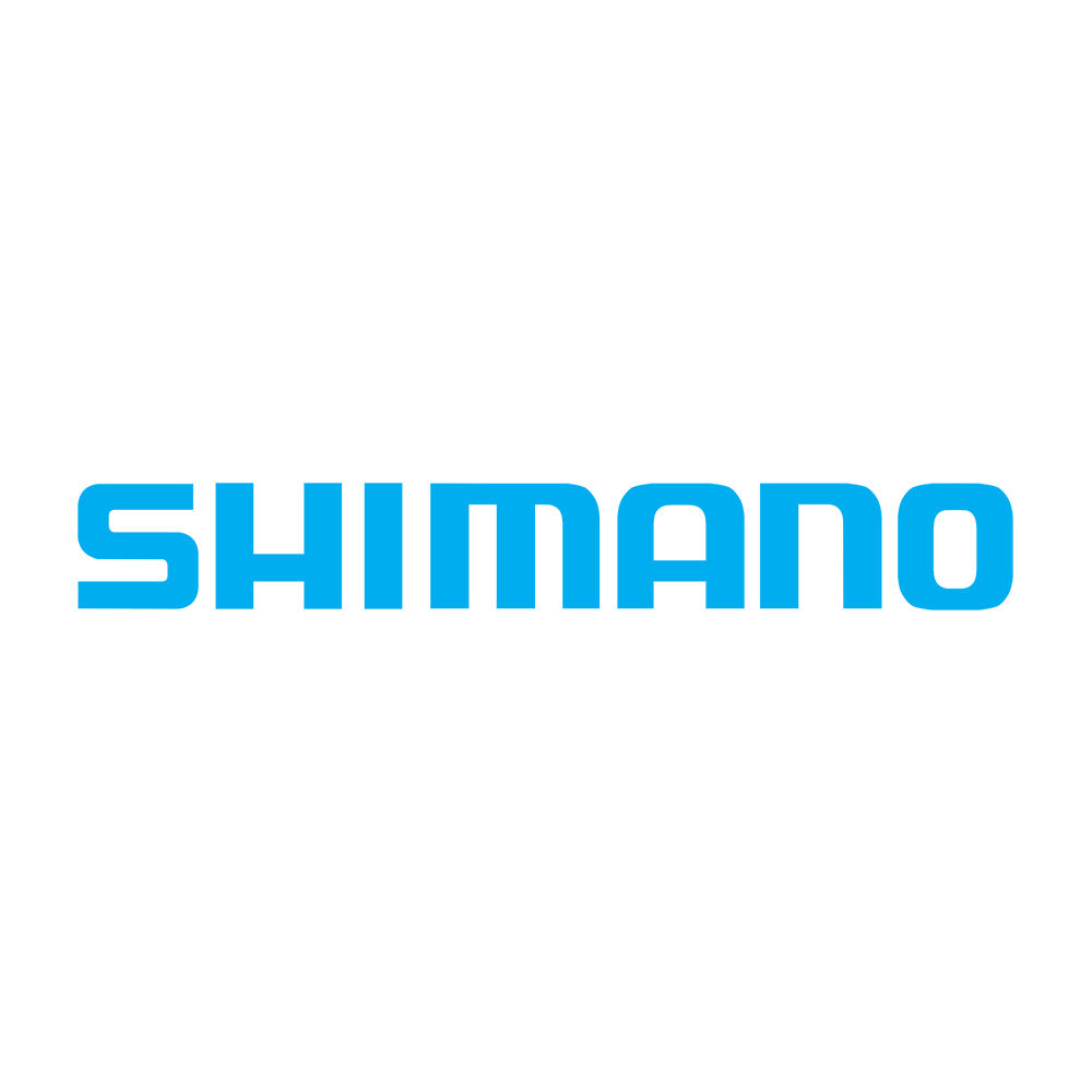 Shimano Motor System