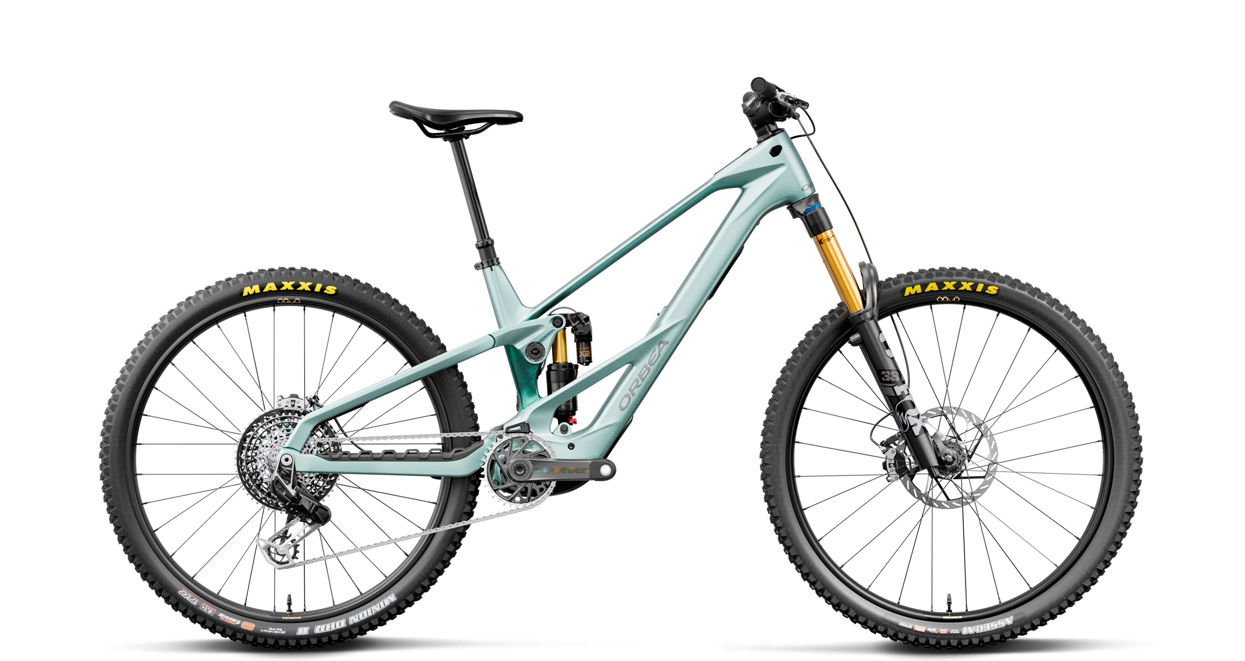Orbea Wild LT M-LTD RS, Smooth Silver/Escape Green