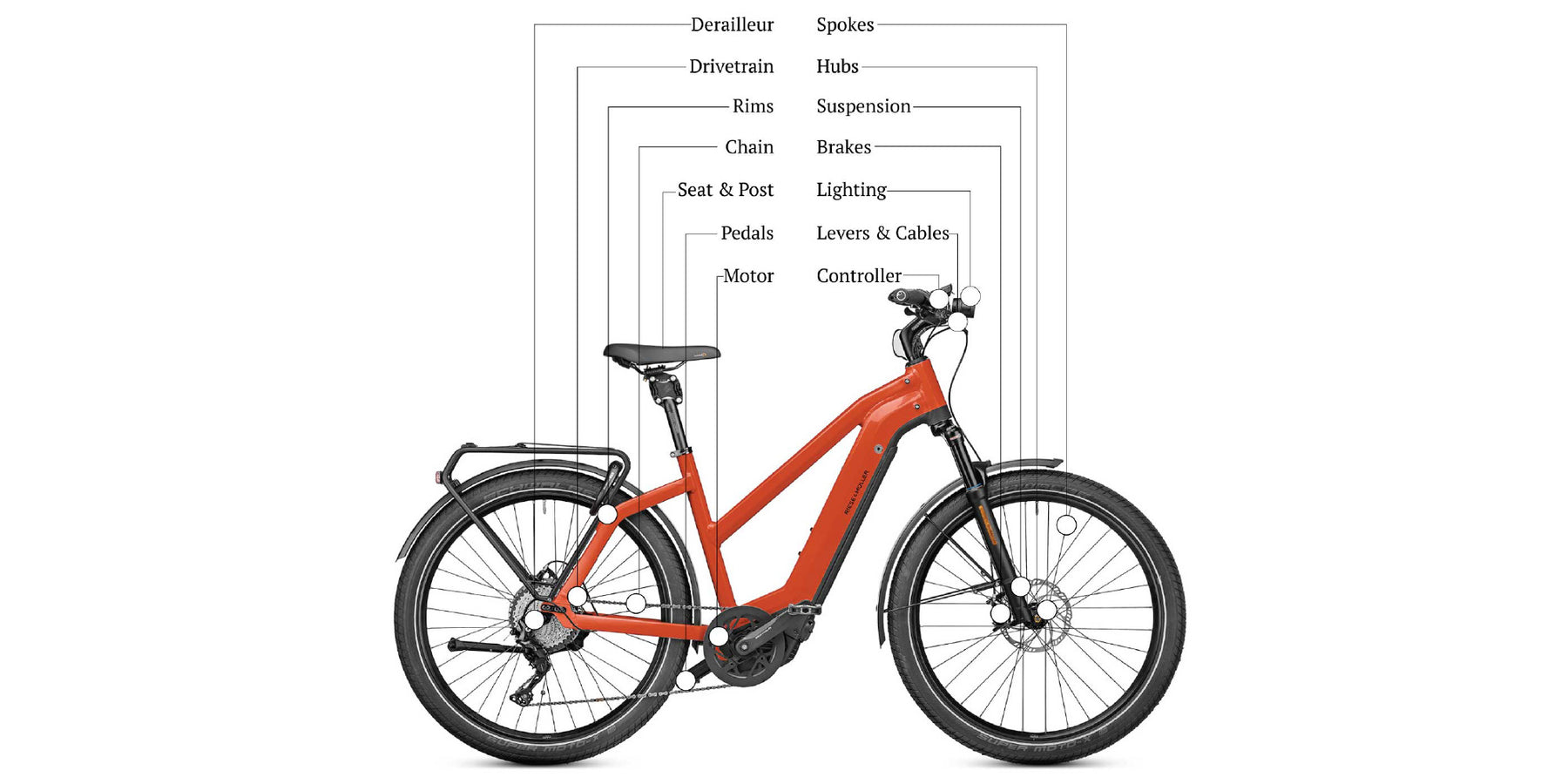 Service Plan & Extended Warranty