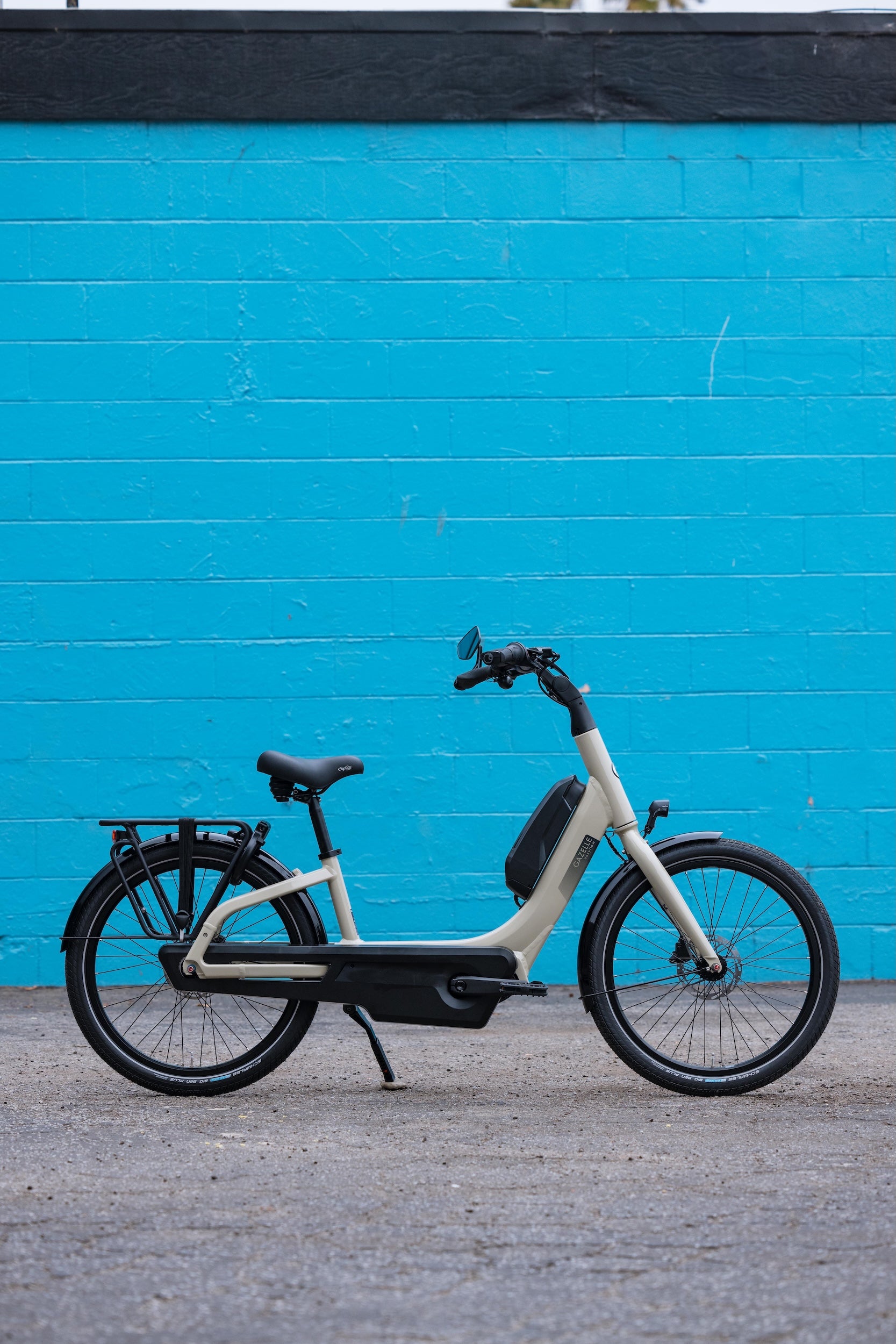 gazelle citygo c7 damen e-bike Gazelle Easyflow C7