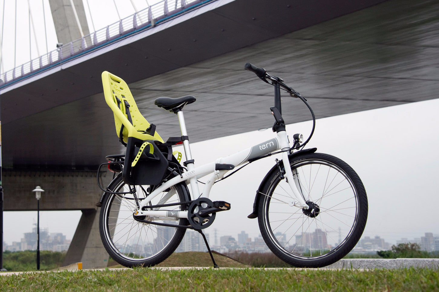 Cargo Rack