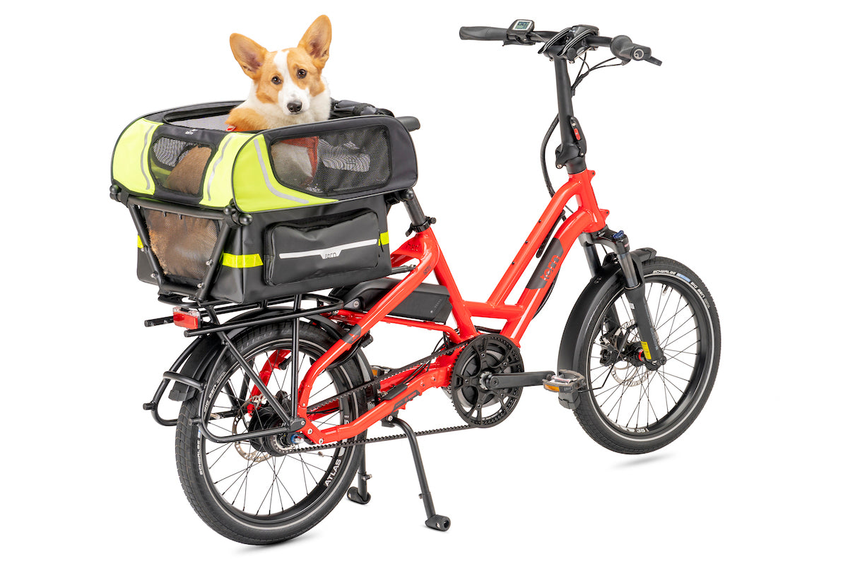 Dog Roof Mini